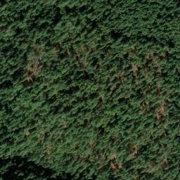Satellite imagery of Randall Mine, US