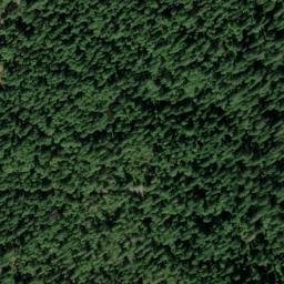 Satellite imagery of Golden Streak Mine, US