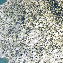Satellite imagery of Deadman Point, US