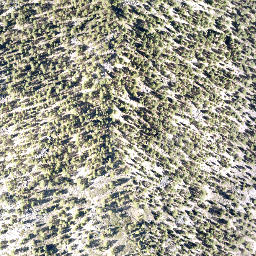 Satellite imagery of Deadman Point, US
