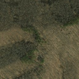 Satellite imagery of Miller Ridge, US