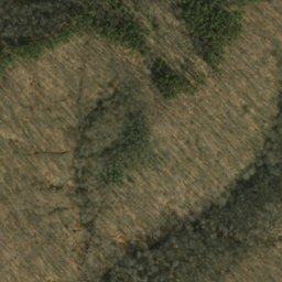 Satellite imagery of Miller Ridge, US