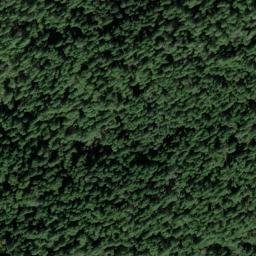 Satellite imagery of California Morning Star Mine, US