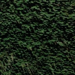 Satellite imagery of Chipmunk Ridge, US