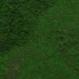 Satellite imagery of Msrek’, AM
