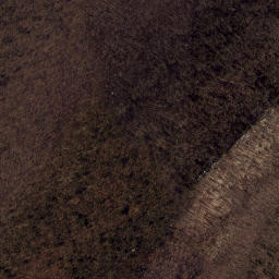 Satellite imagery of Dog Cliff, US