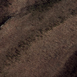 Satellite imagery of Dog Cliff, US