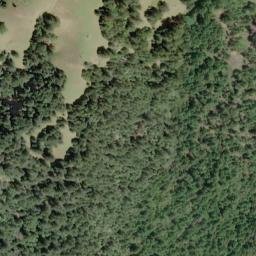 Satellite imagery of Cliff Ridge, US