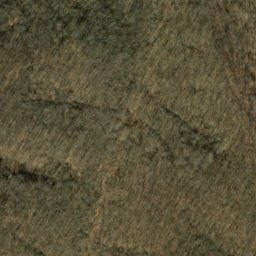 Satellite imagery of Oak Ridge, US