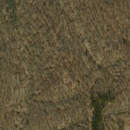 Satellite imagery of Oak Ridge, US