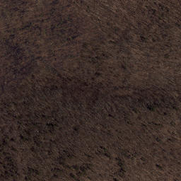 Satellite imagery of Dog Cliff, US