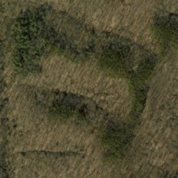 Satellite imagery of Oak Ridge, US