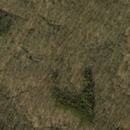 Satellite imagery of Oak Ridge, US