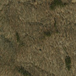 Satellite imagery of Oak Ridge, US