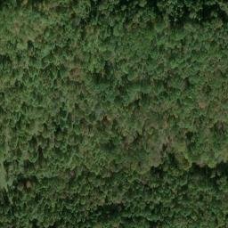 Satellite imagery of L 9 — NGS JX0193 — Lewis County, US, US