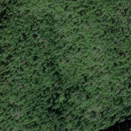 Satellite imagery of Hammell Point, US