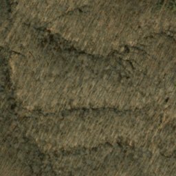 Satellite imagery of Oak Ridge, US