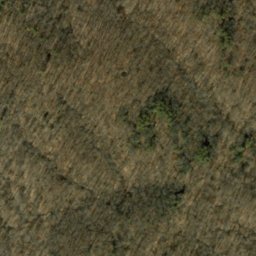 Satellite imagery of Oak Ridge, US