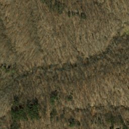 Satellite imagery of Oak Ridge, US