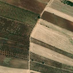 Satellite imagery of survey_point, PT