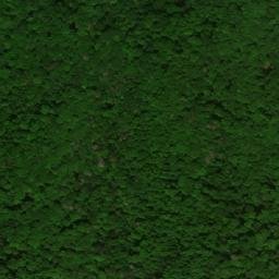 Satellite imagery of Krrnasi, AM