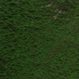 Satellite imagery of Chanchaptuk, AM