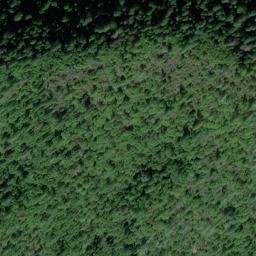 Satellite imagery of Hammell Point, US