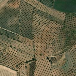 Satellite imagery of survey_point, PT