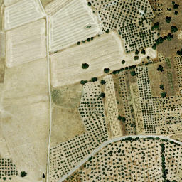 Satellite imagery of survey_point, ES