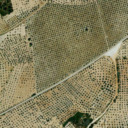 Satellite imagery of survey_point, ES