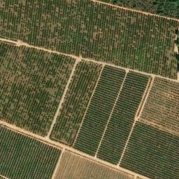 Satellite imagery of Molló de la Vereda, ES