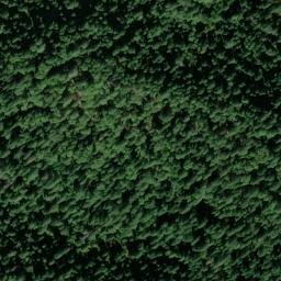 Satellite imagery of Baker Divide, US