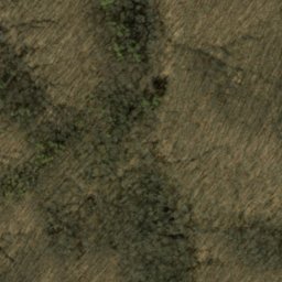 Satellite imagery of Nebo Ridge, US