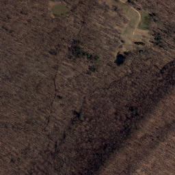 Satellite imagery of Limestone Ridge, US