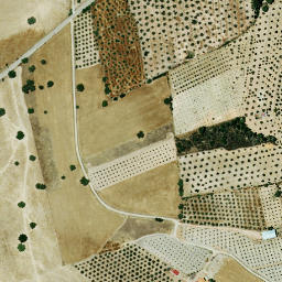 Satellite imagery of survey_point, ES
