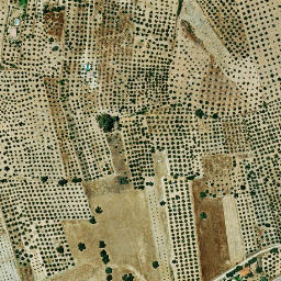 Satellite imagery of survey_point, ES