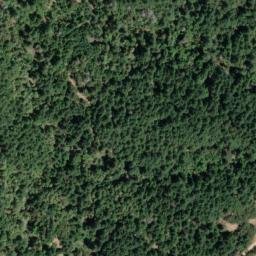 Satellite imagery of Black Oak Ridge, US