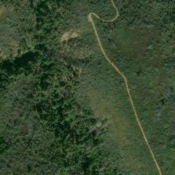 Satellite imagery of Spruce Ridge, US