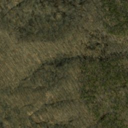 Satellite imagery of Terrill Ridge, US