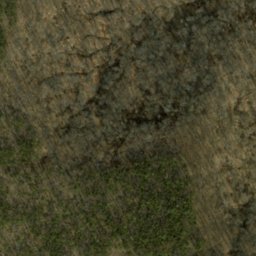 Satellite imagery of Terrill Ridge, US