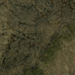 Satellite imagery of Terrill Ridge, US