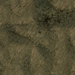 Satellite imagery of Nebo Ridge, US
