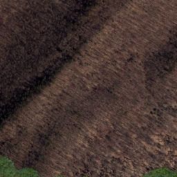 Satellite imagery of Limestone Ridge, US