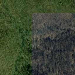 Satellite imagery of Piney Ridge, US