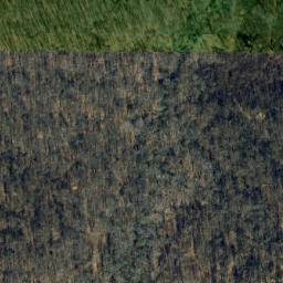 Satellite imagery of Piney Ridge, US