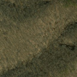Satellite imagery of Terrill Ridge, US