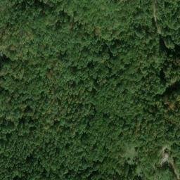 Satellite imagery of RV 51 — NGS JX0191 — Lewis County, US, US