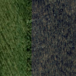 Satellite imagery of Piney Ridge, US
