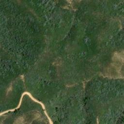 Satellite imagery of Spruce Ridge, US