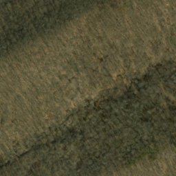 Satellite imagery of Terrill Ridge, US